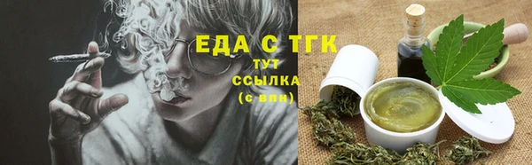 индика Аркадак