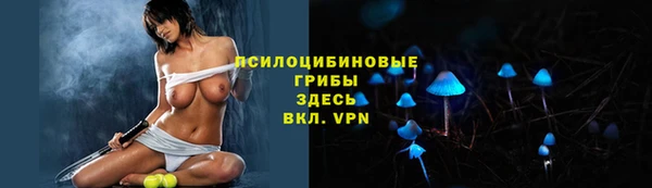 мдпв Балабаново