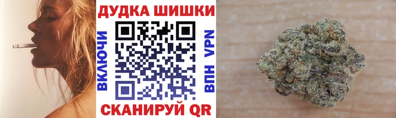 Конопля гибрид  Гдов 